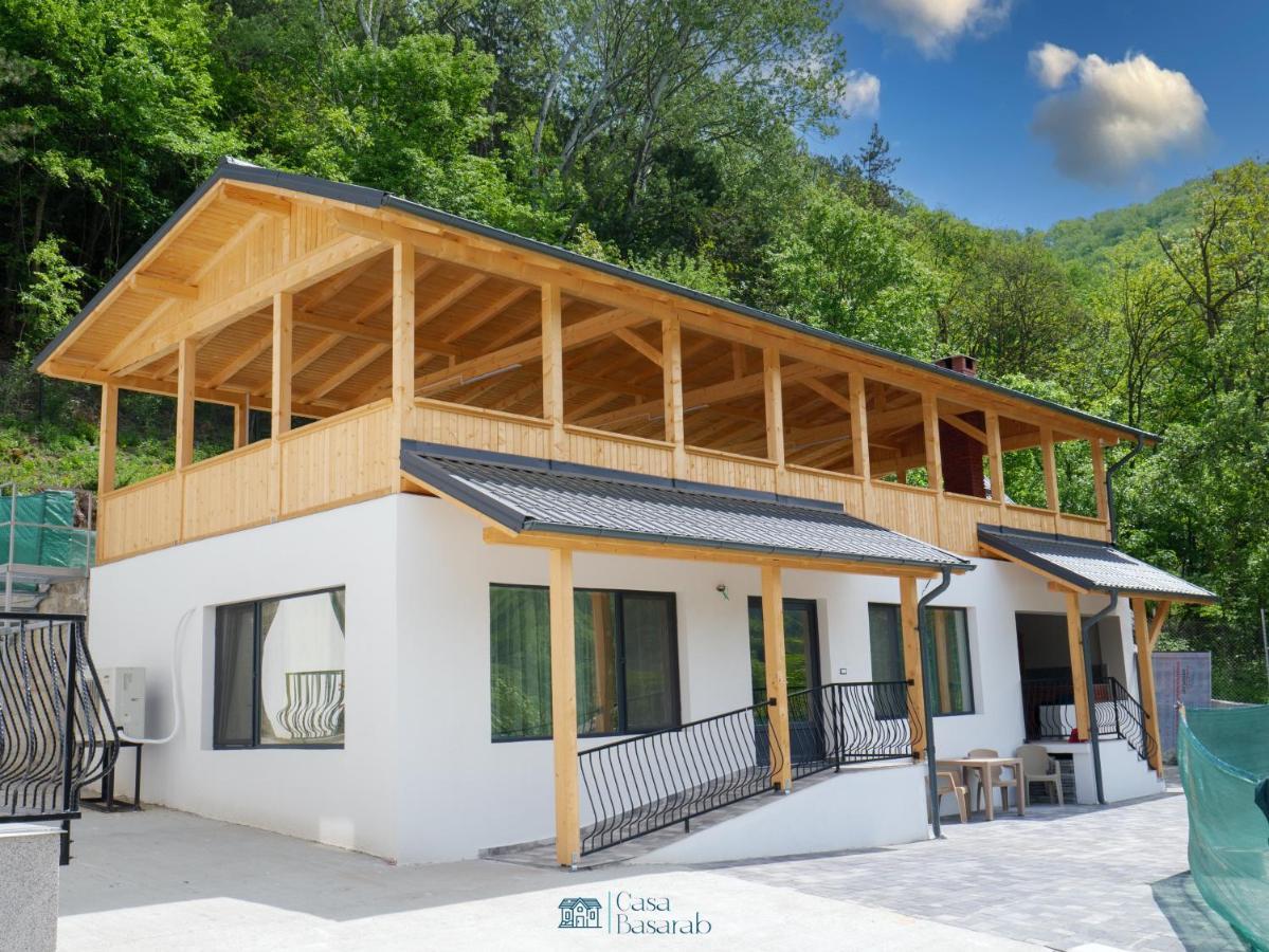 Casa Basarab Guest house Calimanesti